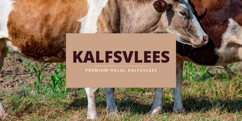 Halal kalfsvlees van Premium Halal Meat