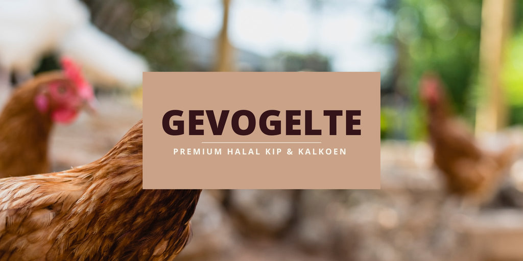 Kip en kalkoen van Premium Halal Meat